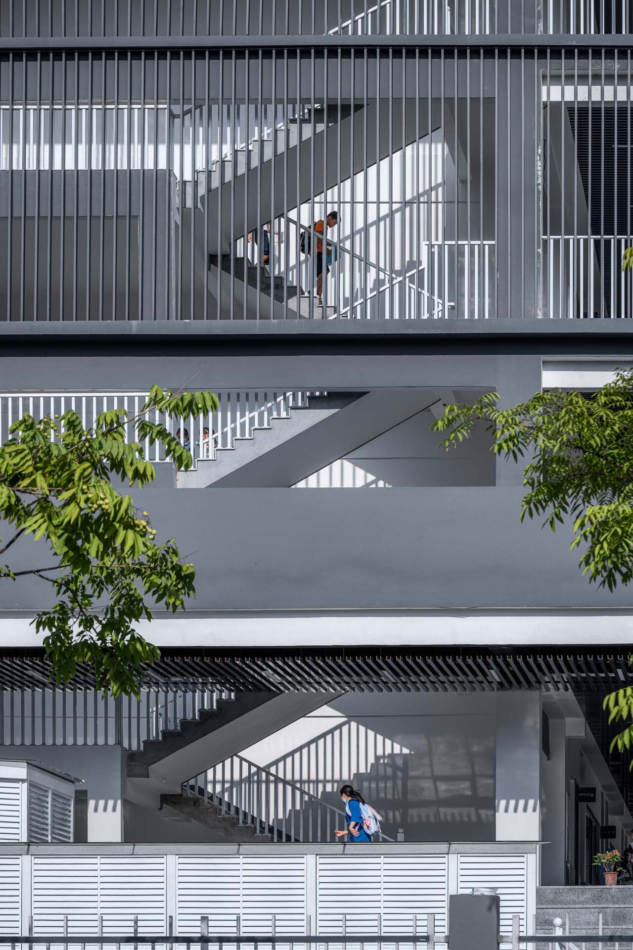 BIM建筑|衢州新华第二学校 / 零壹城市建筑事务所