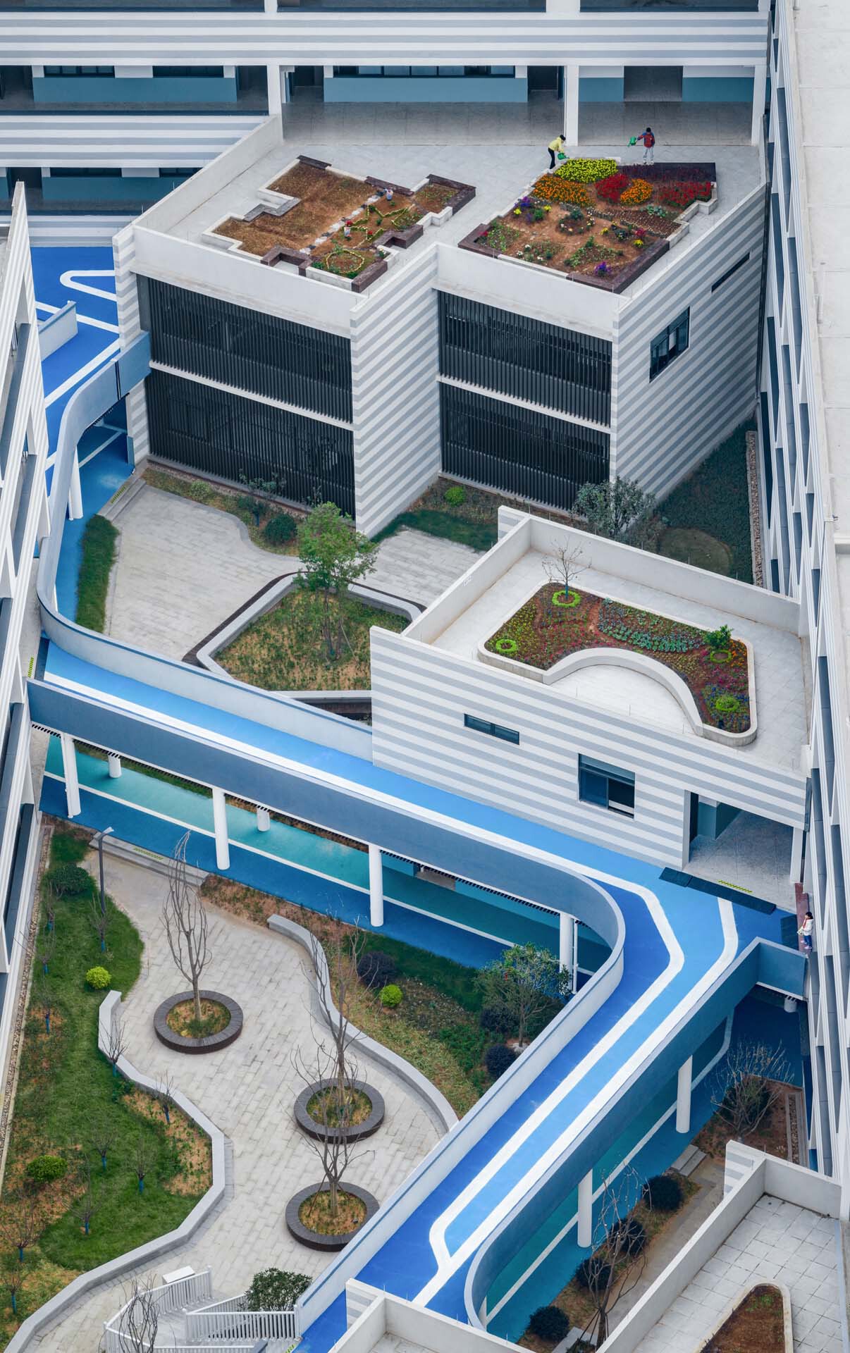 BIM建筑|衢州新华第二学校 / 零壹城市建筑事务所