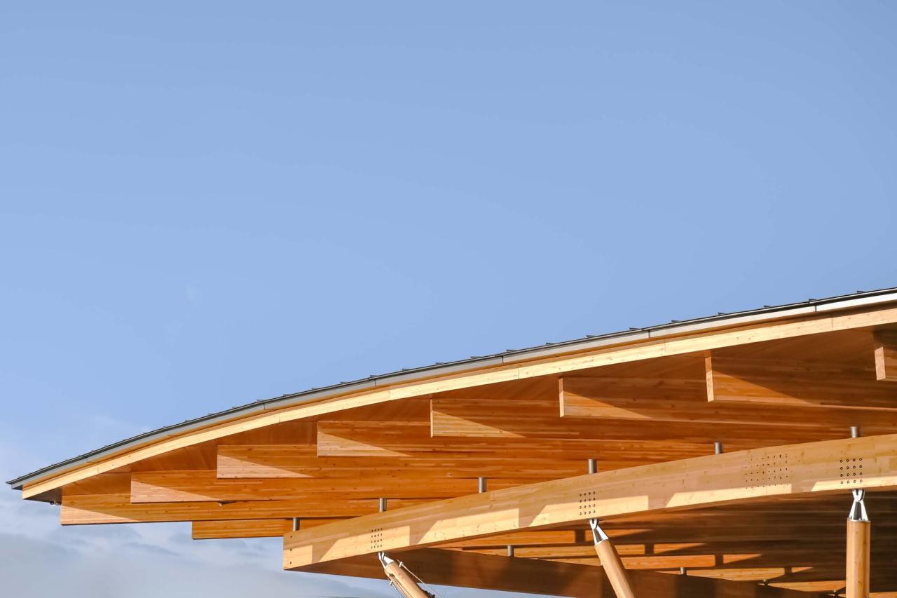 BIM建筑|长三角生态绿色一体化发展示范区（嘉善）企业交流服务基地 / 上海绿建建筑设计事务所