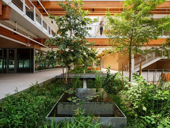 BIM建筑|晋斯勒使用太阳能电池板顶棚遮蔽德克萨斯州办公室