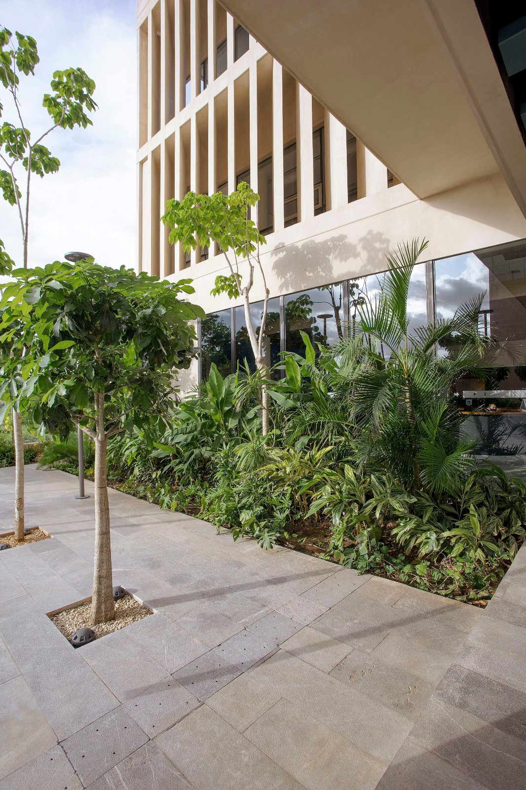 BIM建筑|梅里达银行与商业学校 / IUA Ignacio Urquiza Arquitectos