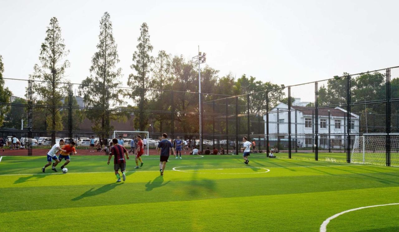 BIM建筑|南京南师大紫金校区整体改造项目 / 杜兹设计