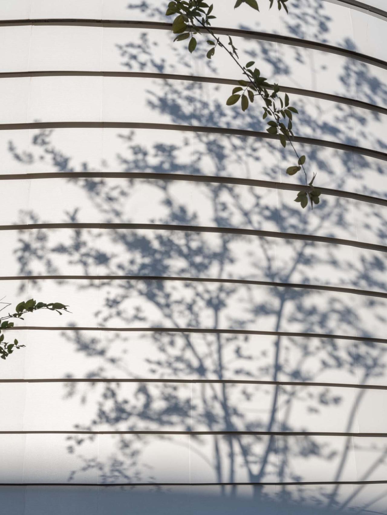 BIM建筑|济南历城二中彩石校区 / 同圆设计