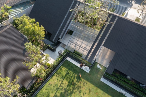 BIM建筑|EKAR将住房与酒店和狗的活动场所结合在一起