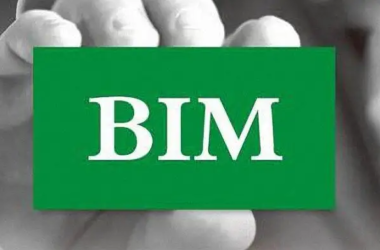 BIM问答|BIM标准类型有哪些？又是如何进行定义分类？-BIM建筑网