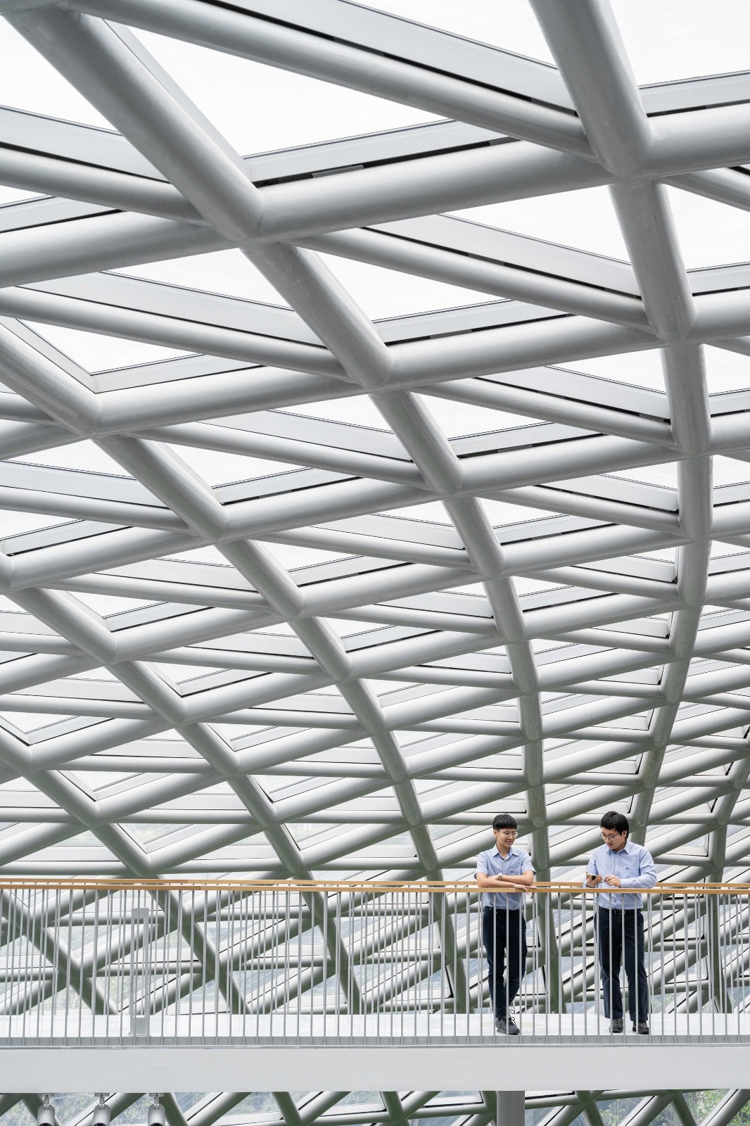 BIM建筑|森林保护卓越中心 / Architects 49