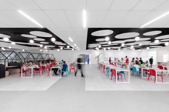 BIM建筑|德拉克斯工作室将工业建筑改建为红楼学校