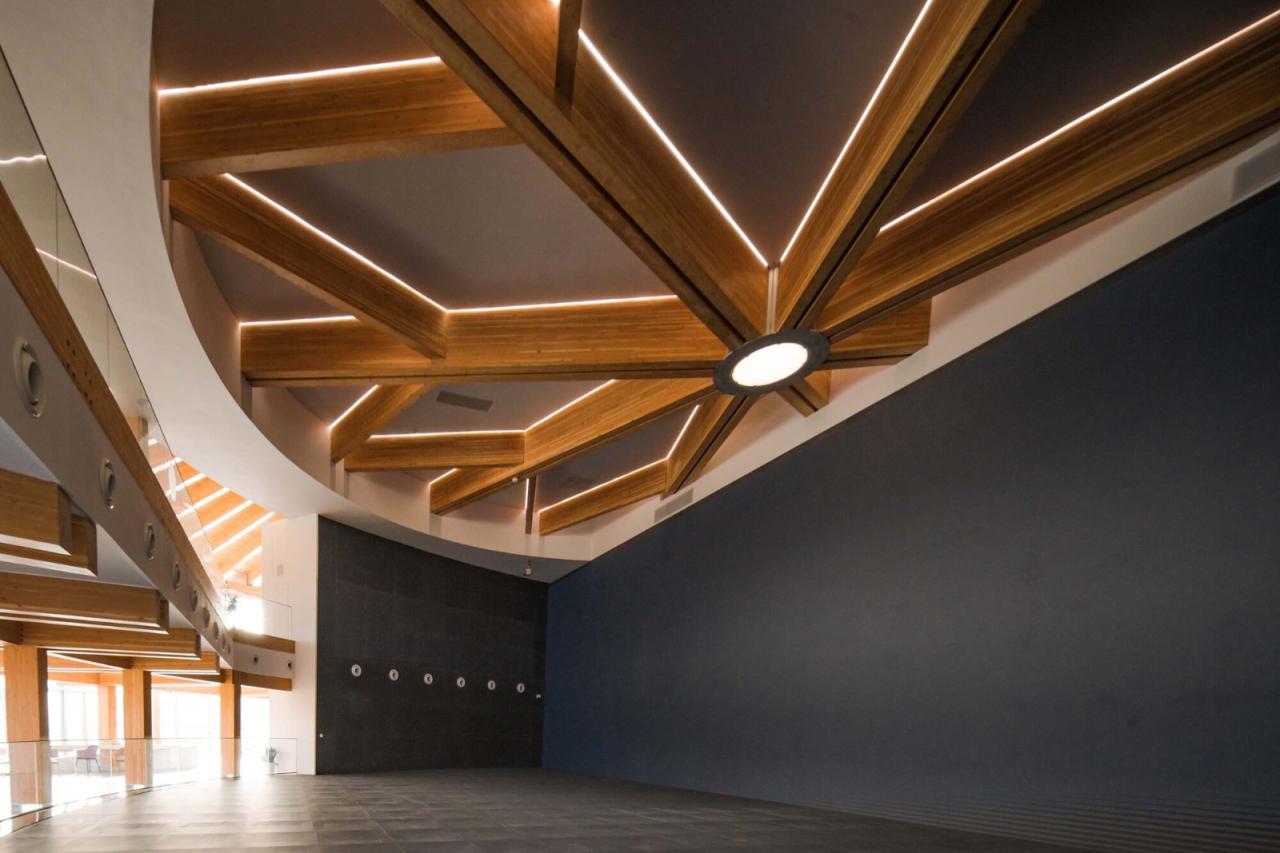 BIM建筑|长三角生态绿色一体化发展示范区（嘉善）企业交流服务基地 / 上海绿建建筑设计事务所