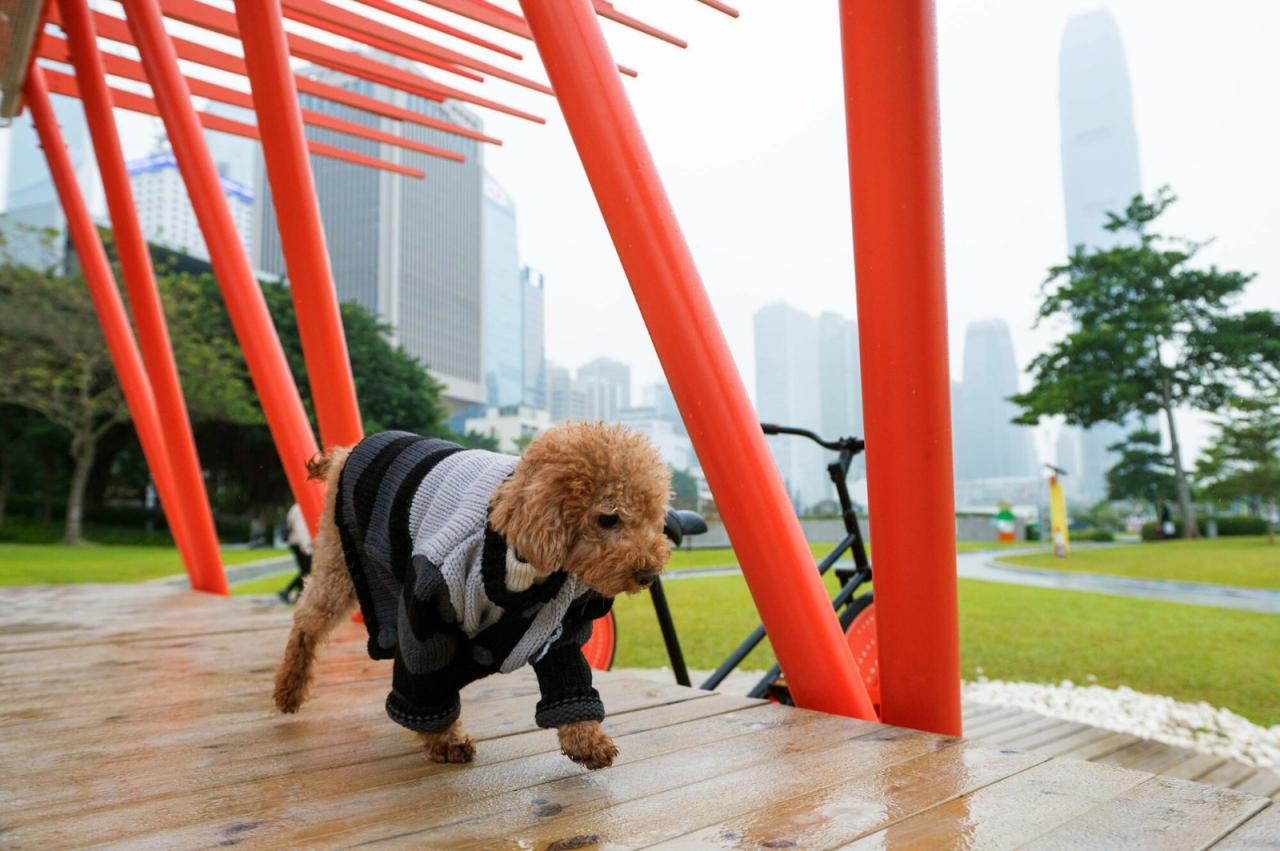 BIM建筑|梦想实验号 / HIR Studio