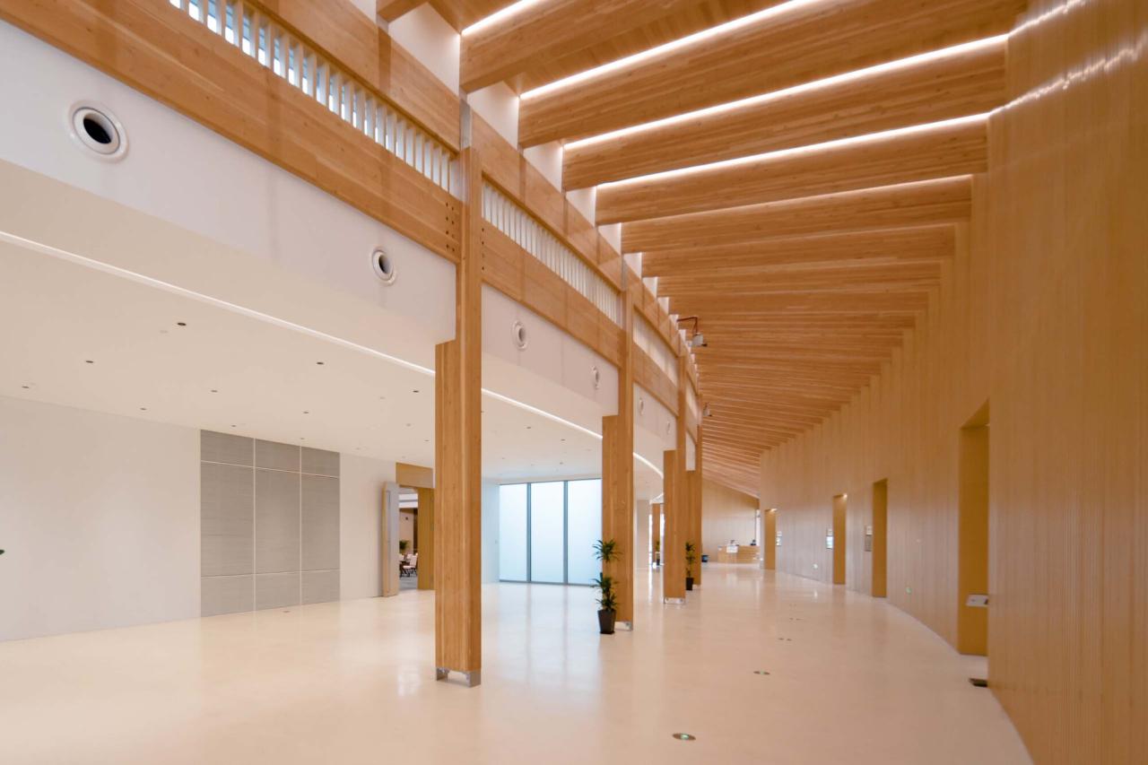 BIM建筑|长三角生态绿色一体化发展示范区（嘉善）企业交流服务基地 / 上海绿建建筑设计事务所