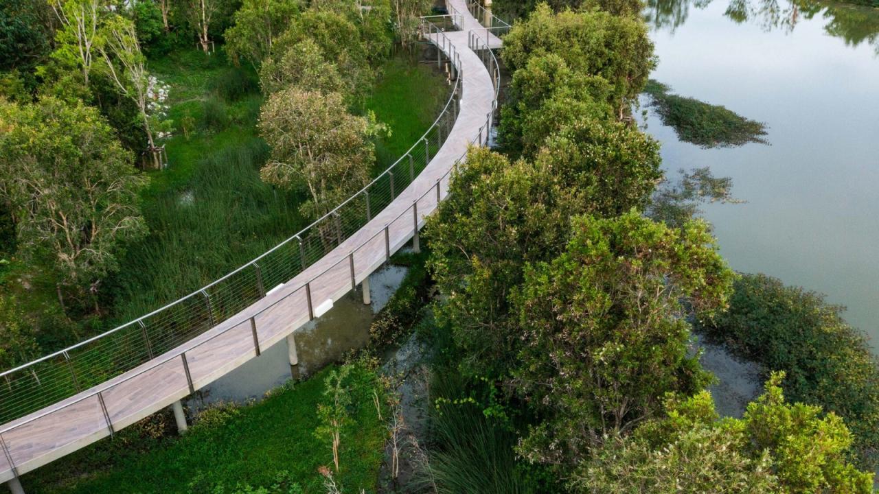 BIM建筑|森林保护卓越中心 / Architects 49