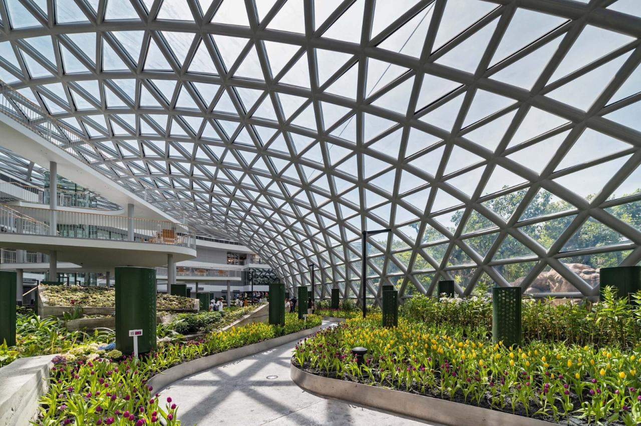 BIM建筑|森林保护卓越中心 / Architects 49