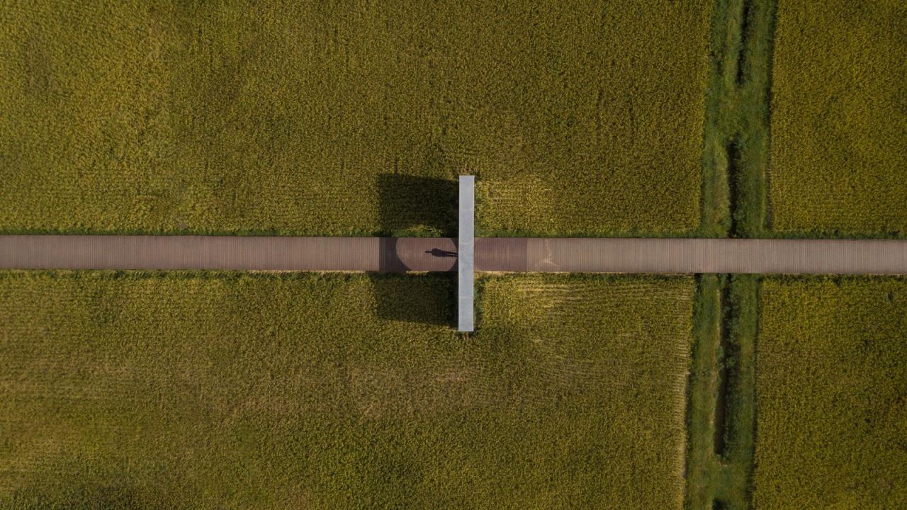 BIM建筑|艾米未来农业文旅小镇 / 加减智库设计事务所