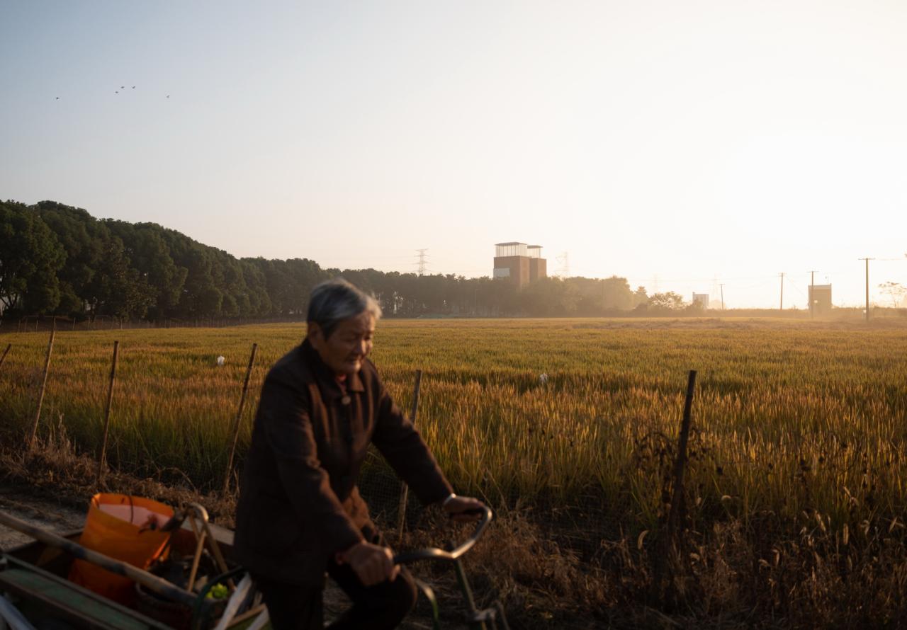 BIM建筑|乡村微更新的在地实践 / 上海交通大学奥默默工作室