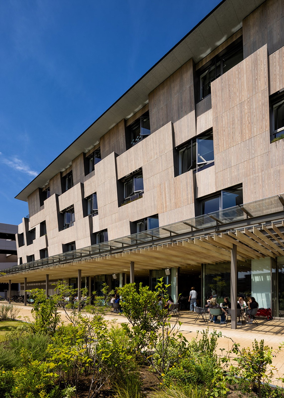 BIM建筑|横滨国际学校，内外均木质饰面 / 大成建设 + 隈研吾建筑都市设计事务所