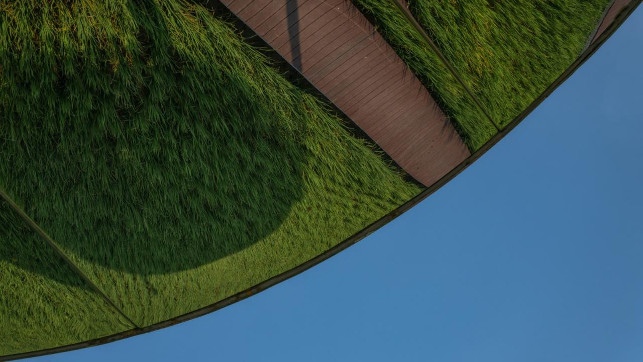 BIM建筑|艾米未来农业文旅小镇 / 加减智库设计事务所