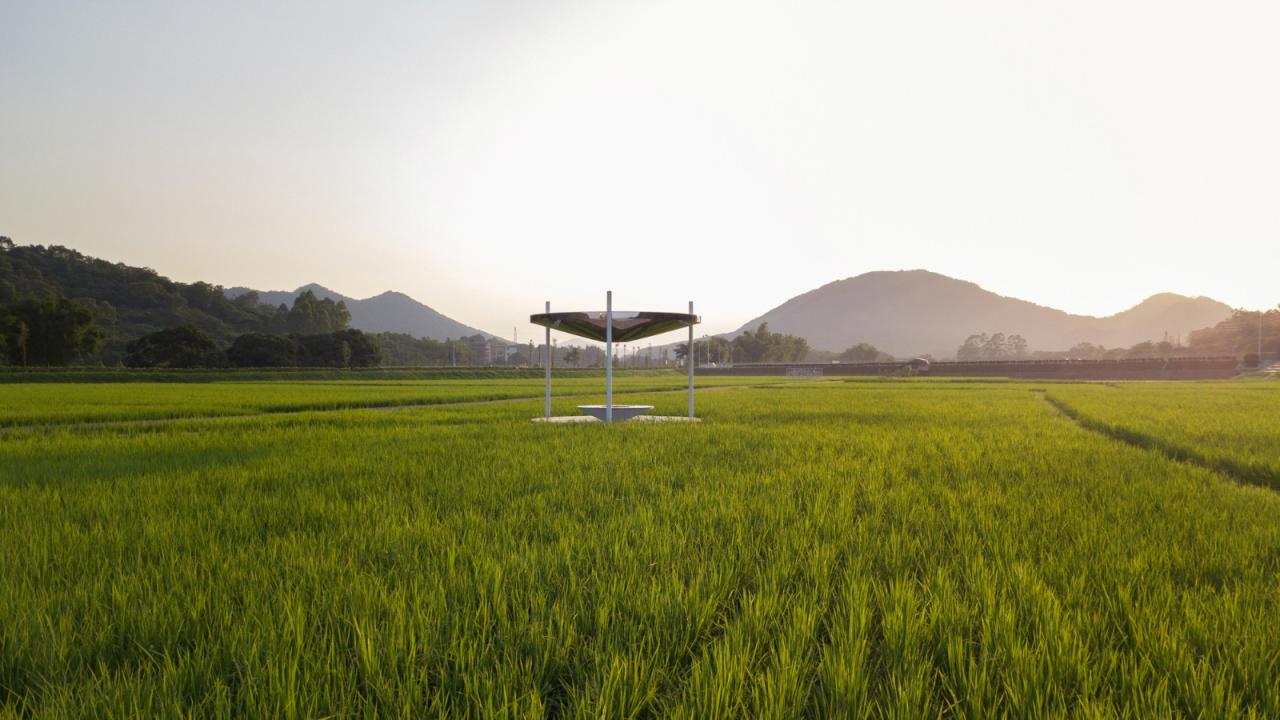 BIM建筑|艾米未来农业文旅小镇 / 加减智库设计事务所