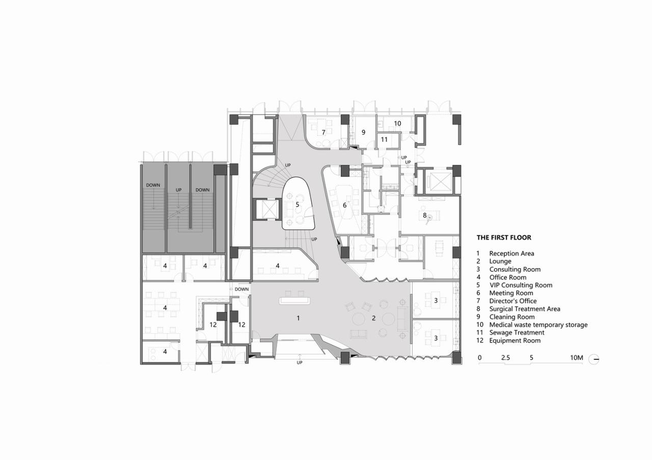 BIM建筑|数字水墨的有机生长：卓彦丽格医美诊所 / CAA室内新作