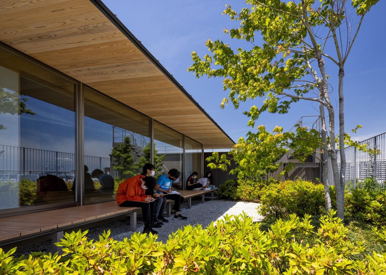 BIM建筑|横滨国际学校，内外均木质饰面 / 大成建设 + 隈研吾建筑都市设计事务所