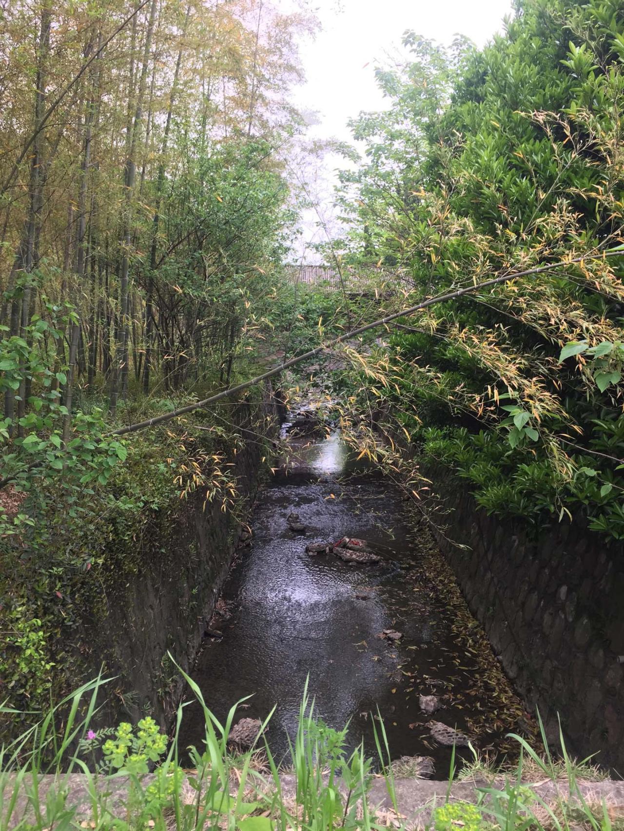 BIM建筑|南京汤山猿人洞游客驿站 / 东南大学建筑设计研究院建筑技术与艺术(ATA)工作室