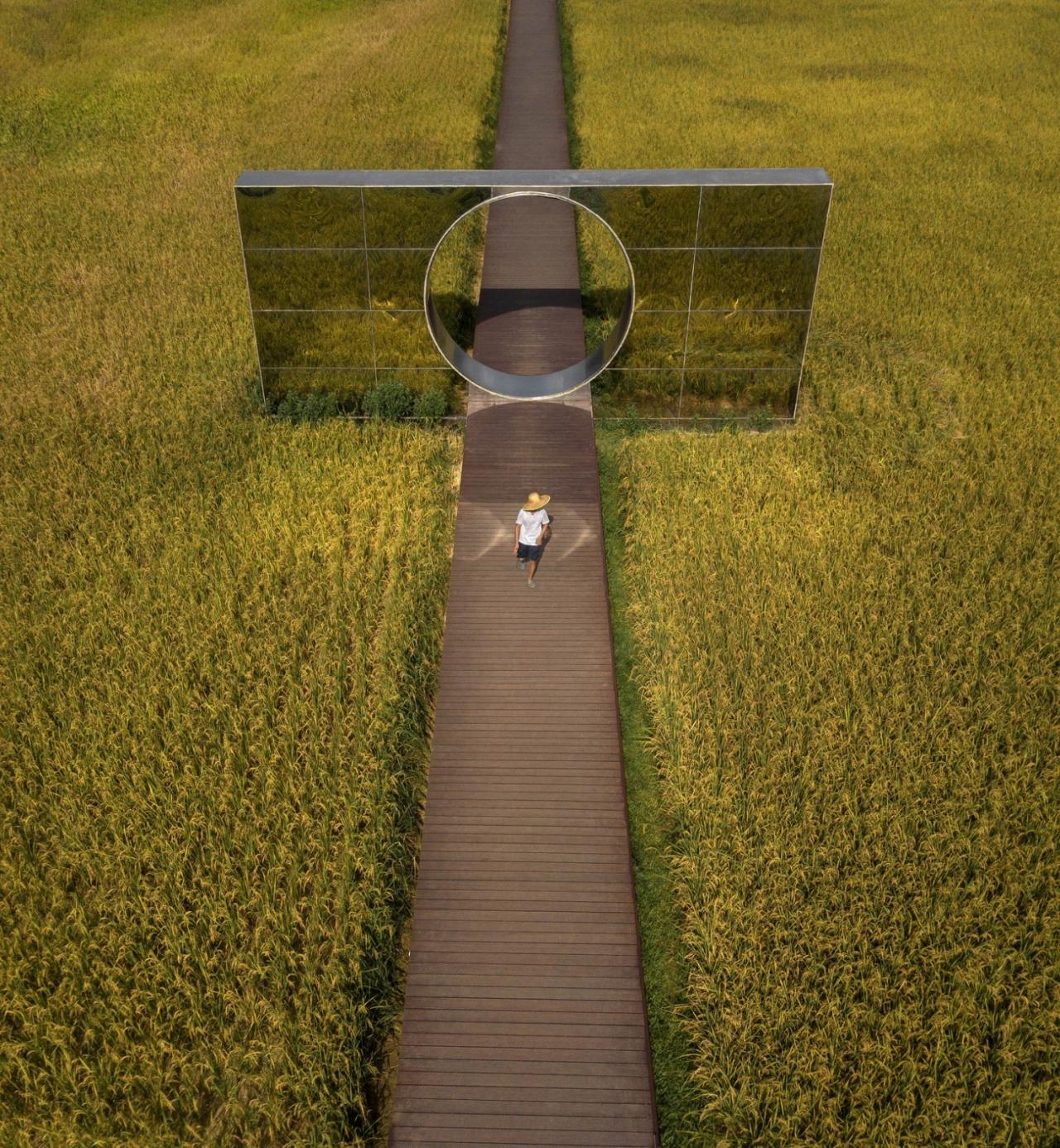 BIM建筑|艾米未来农业文旅小镇 / 加减智库设计事务所