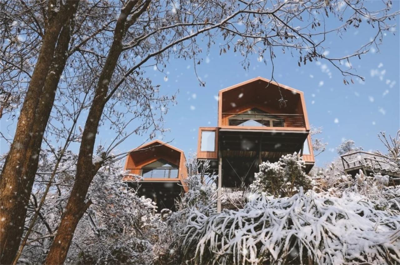 BIM建筑|群山绵延中的山谷小墅：尧珈·养心墅 / 上海尧舜建筑设计有限公司