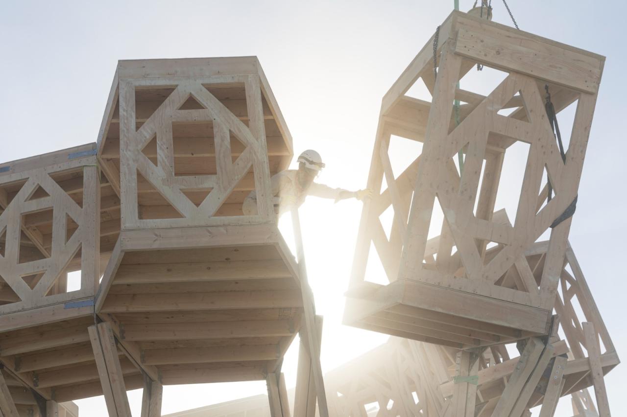 BIM建筑|火人节“宣泄/淨化”分形画廊 / MAMOU-MANI