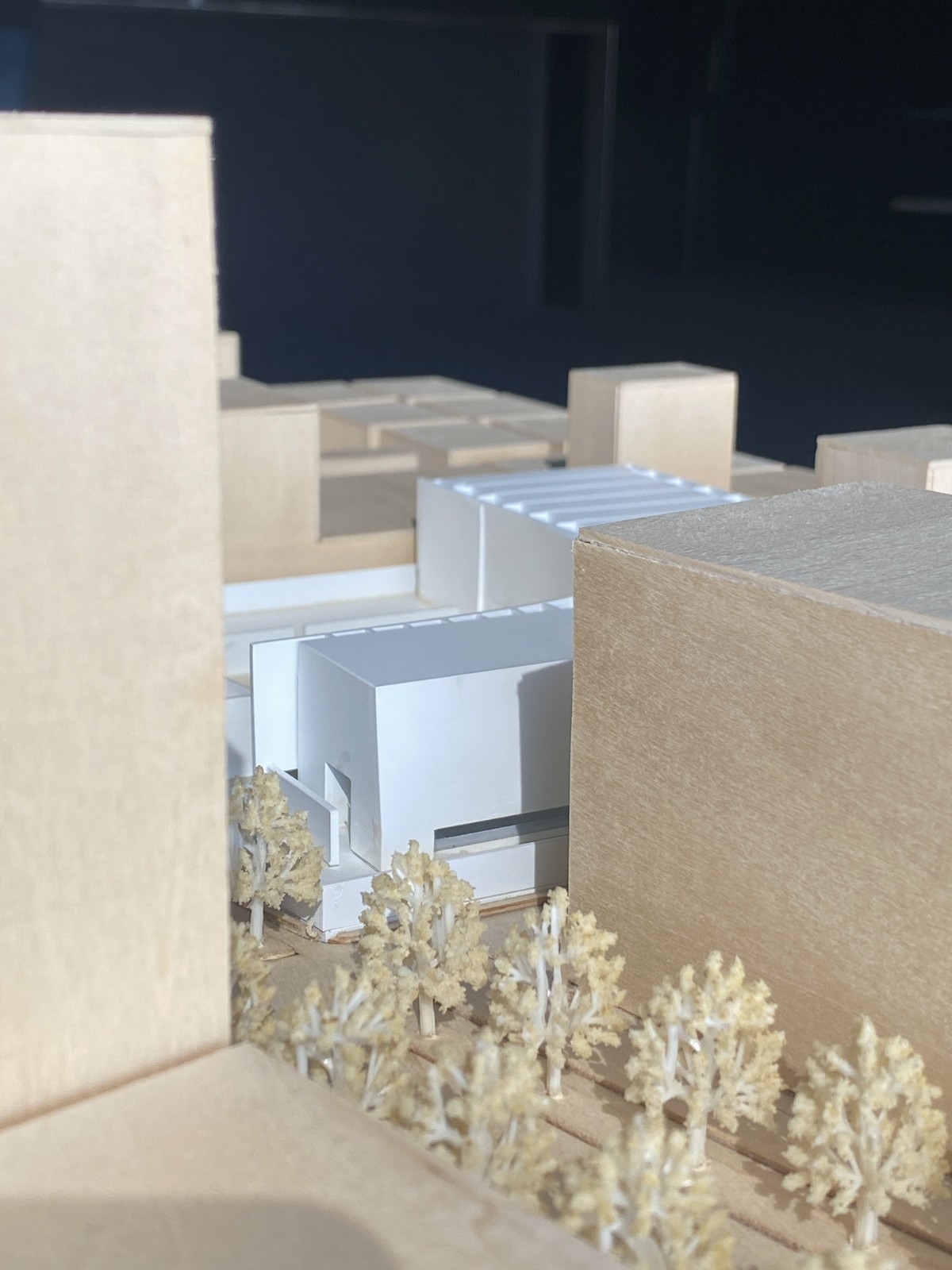 BIM建筑|回艺术中心：潮汕村落里的艺术涅槃 / AD艾克建筑