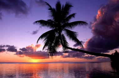 BIM问答|BIM技术在场地规划中的作用包括哪些？-BIM建筑网