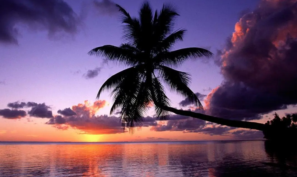 BIM问答|BIM技术在场地规划中的作用包括哪些？