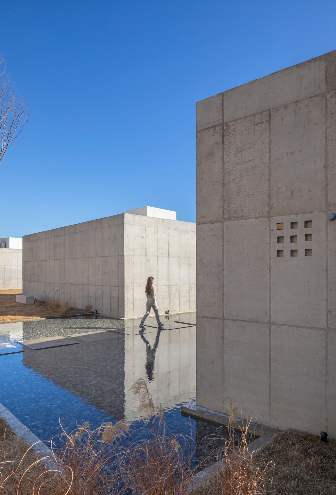 BIM建筑|MimMim 之家 / On Architects Inc.