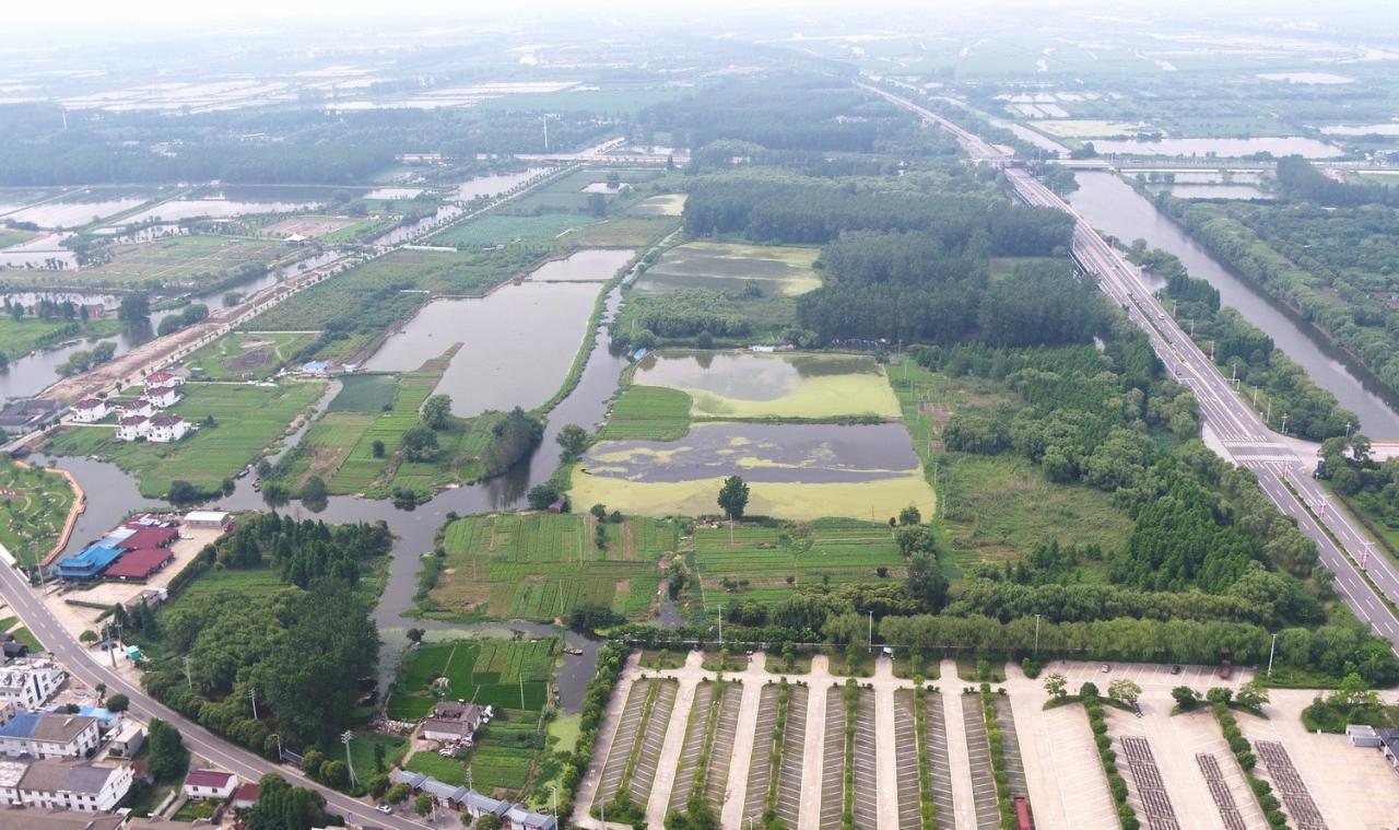 BIM建筑|湿地浮岛·溱湖宾馆 / 简和建筑