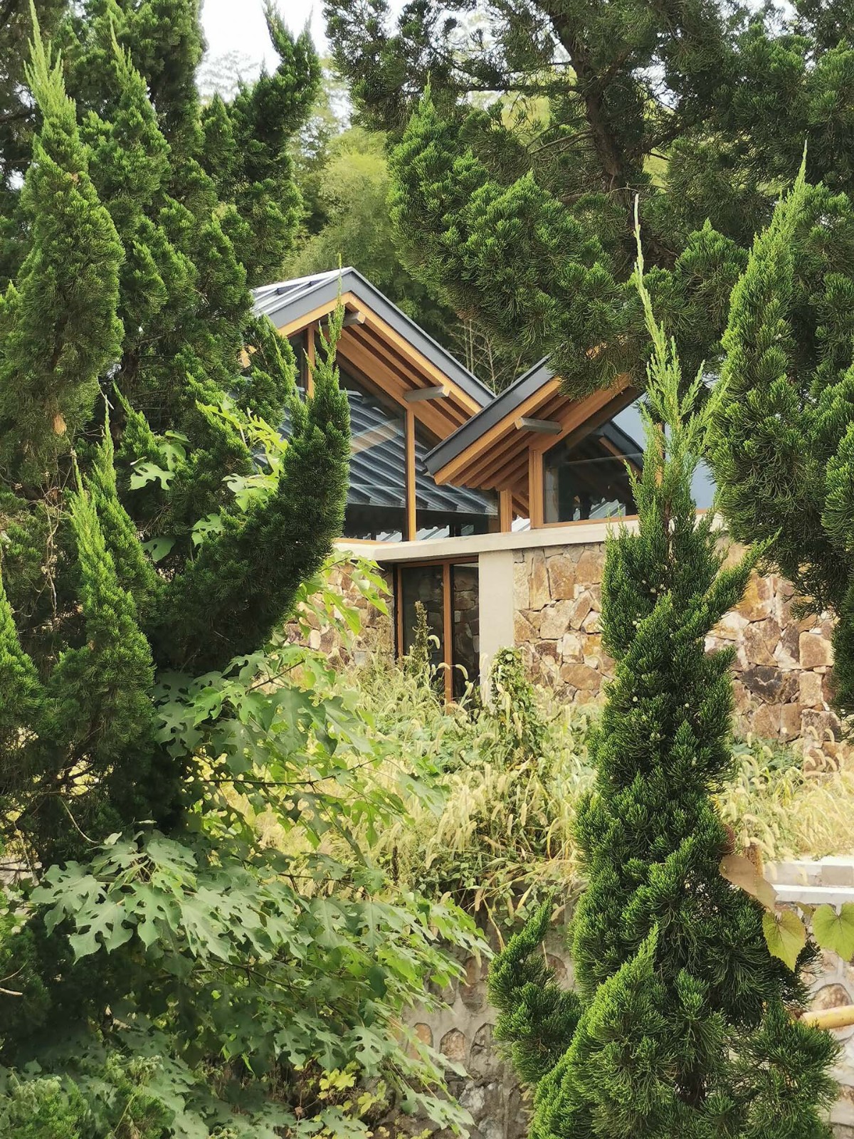 BIM建筑|南京汤山猿人洞游客驿站 / 东南大学建筑设计研究院建筑技术与艺术(ATA)工作室