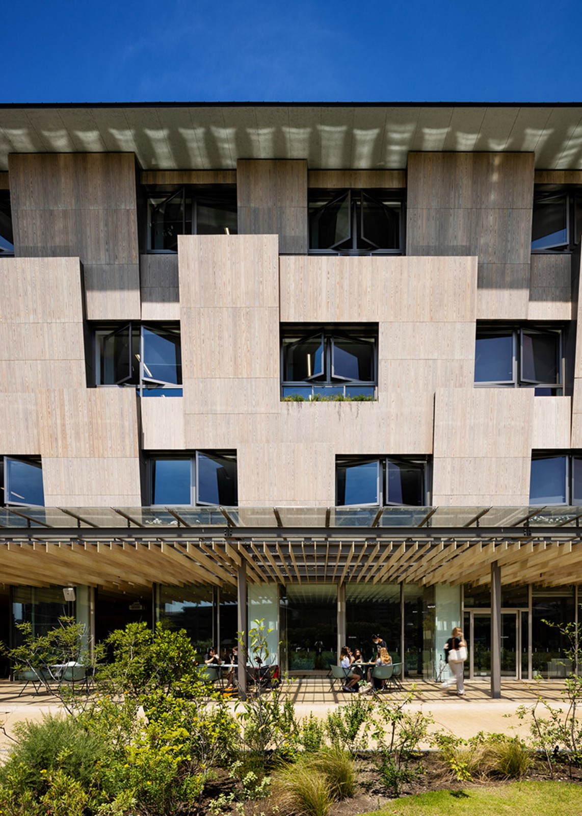 BIM建筑|横滨国际学校，内外均木质饰面 / 大成建设 + 隈研吾建筑都市设计事务所