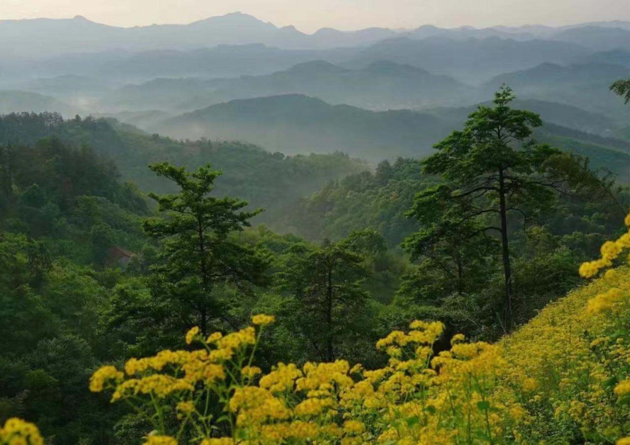 BIM建筑|群山绵延中的山谷小墅：尧珈·养心墅 / 上海尧舜建筑设计有限公司