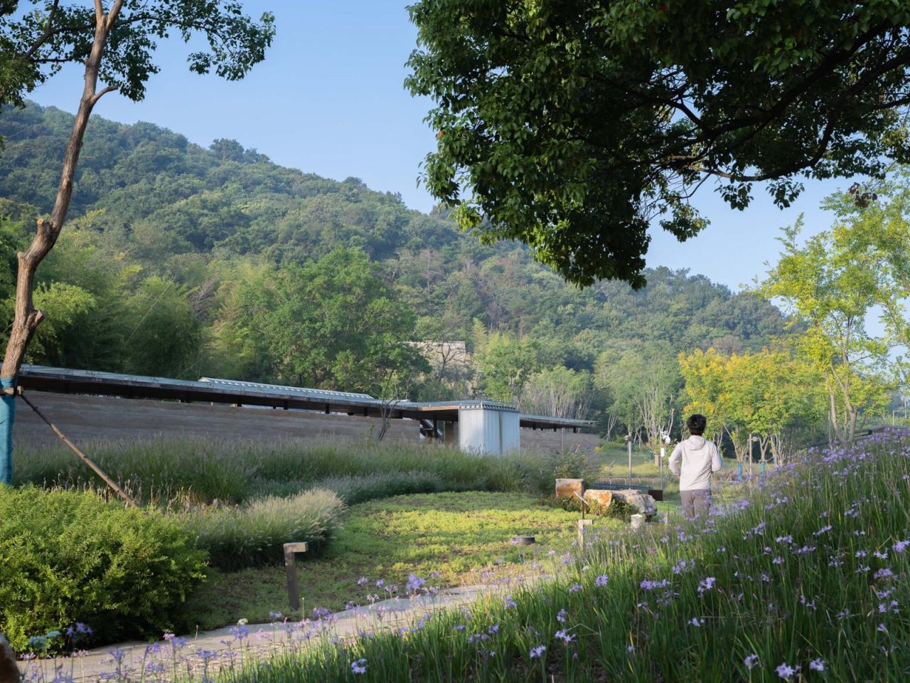 BIM建筑|南京汤山猿人洞游客驿站 / 东南大学建筑设计研究院建筑技术与艺术(ATA)工作室