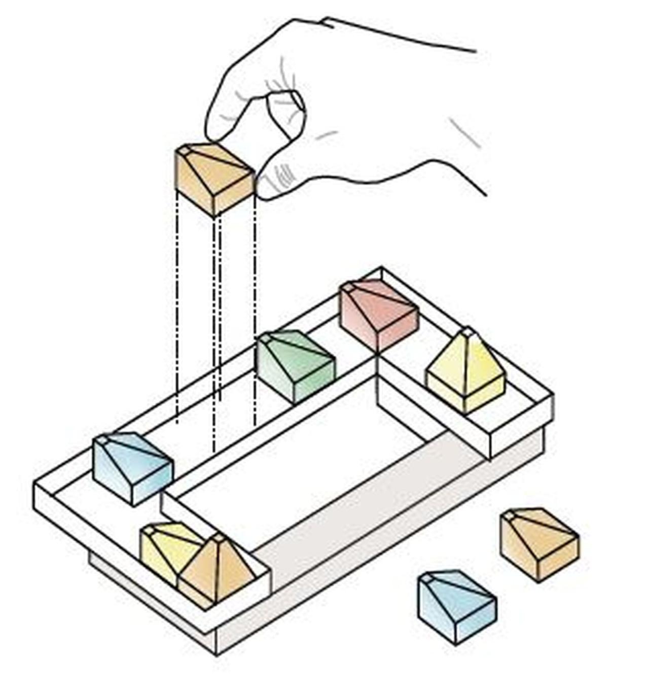 BIM建筑|冠军摇篮儿童发展中心 / Espacio Colectivo Arquitectos