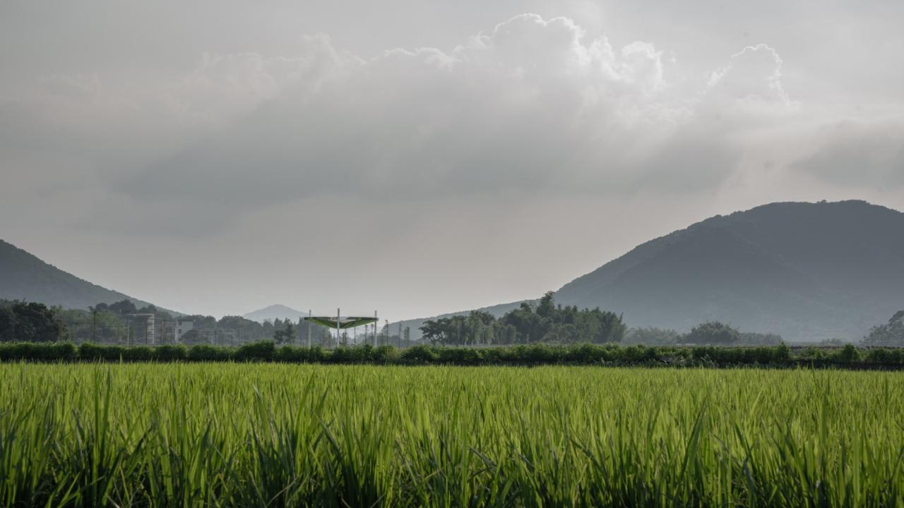 BIM建筑|艾米未来农业文旅小镇 / 加减智库设计事务所