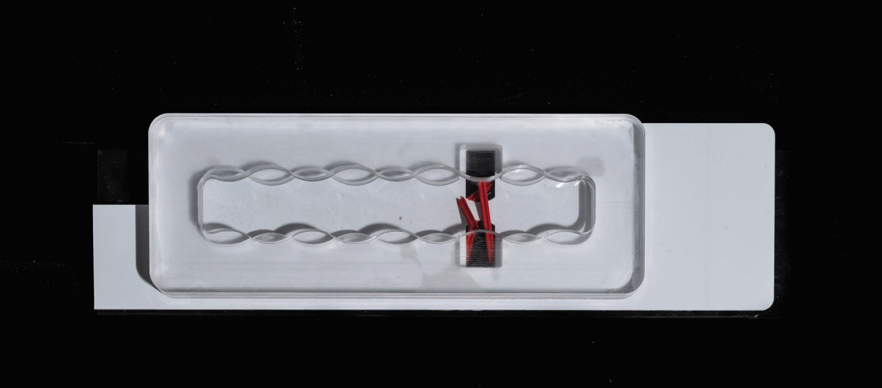 BIM建筑|沪杭高速嘉兴服务区：公路上的综合体 / goa大象设计