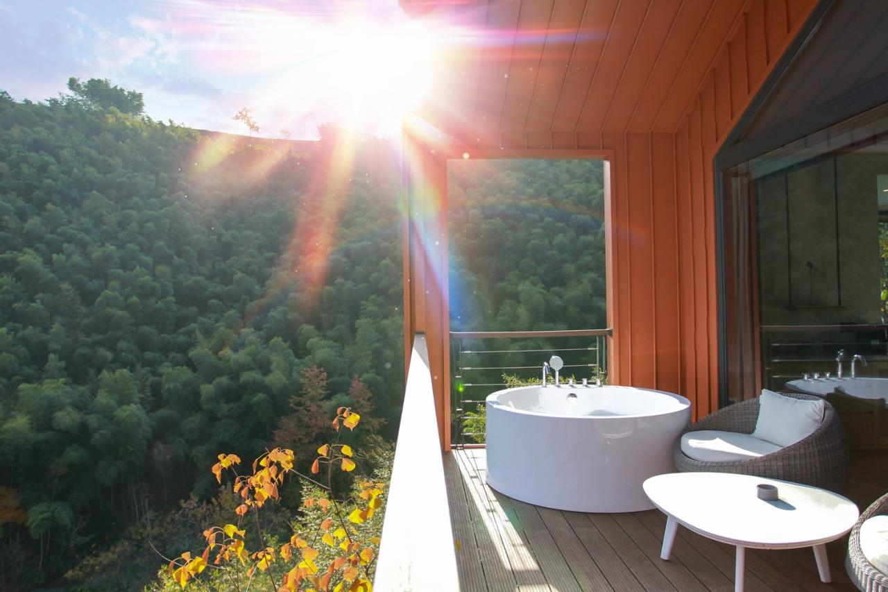 BIM建筑|群山绵延中的山谷小墅：尧珈·养心墅 / 上海尧舜建筑设计有限公司