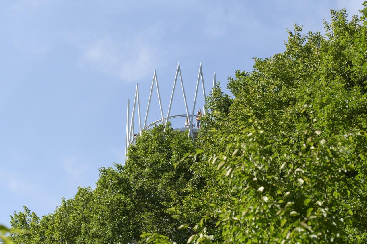 BIM建筑|Hardtbergturm 瞭望塔 / Wolfgang Ott Architekt BDA