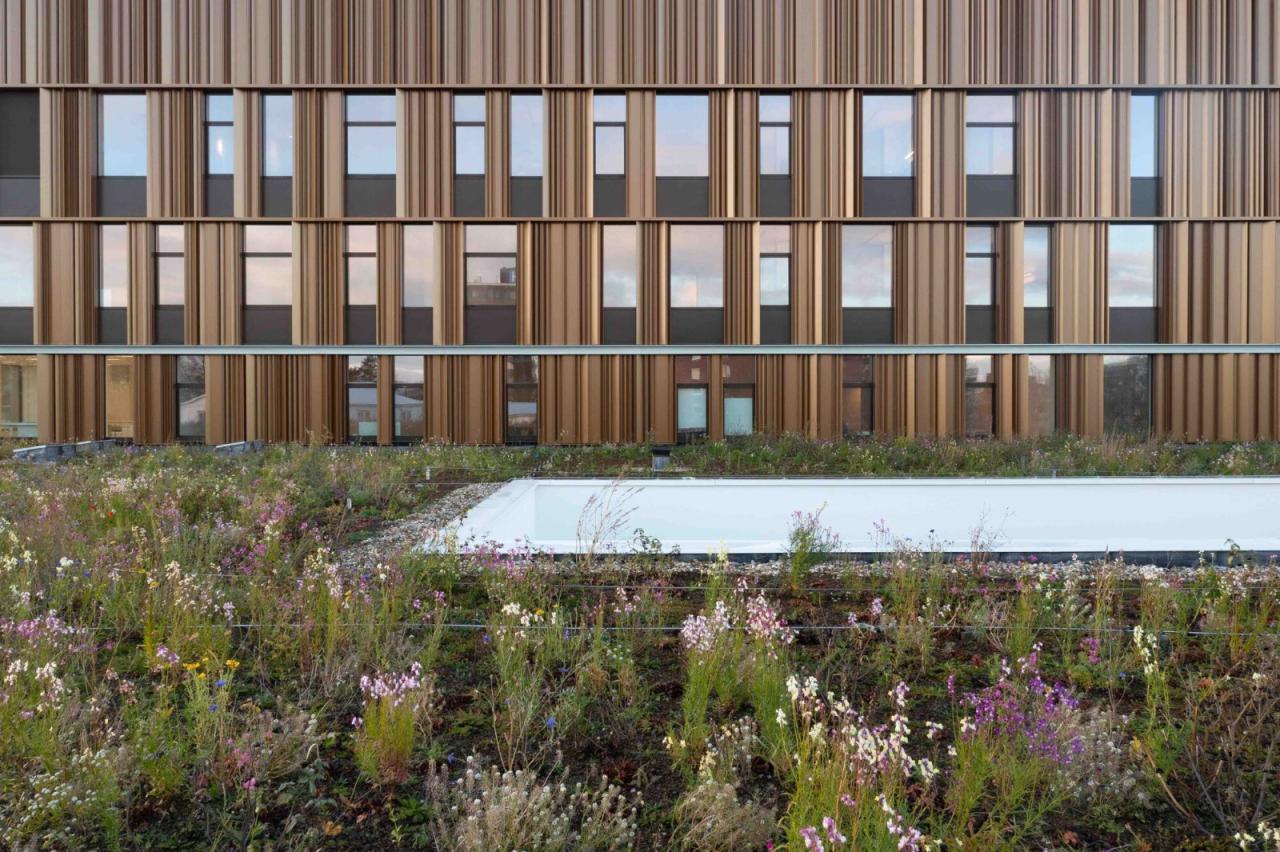 BIM建筑|Isala Meppel 医院 / Vakwerk 建筑事务所