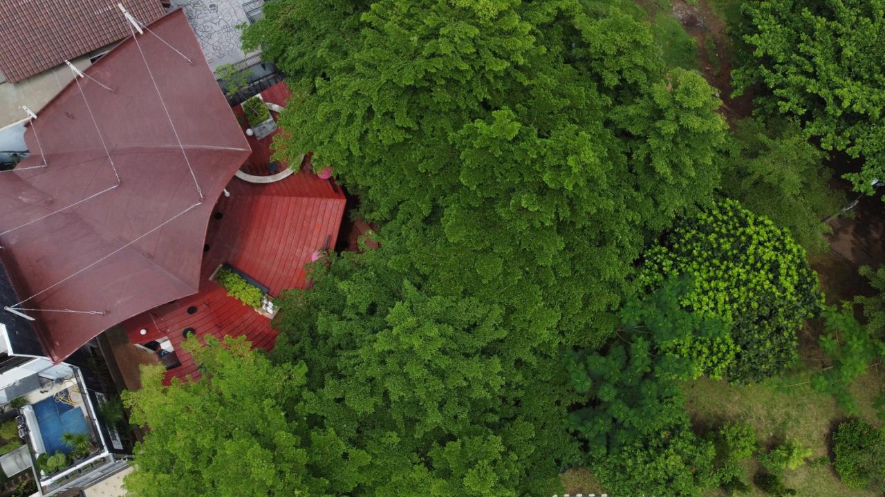 BIM建筑|树冠花园 Tanatap / RAD+ar (Research Artistic Design + architecture)