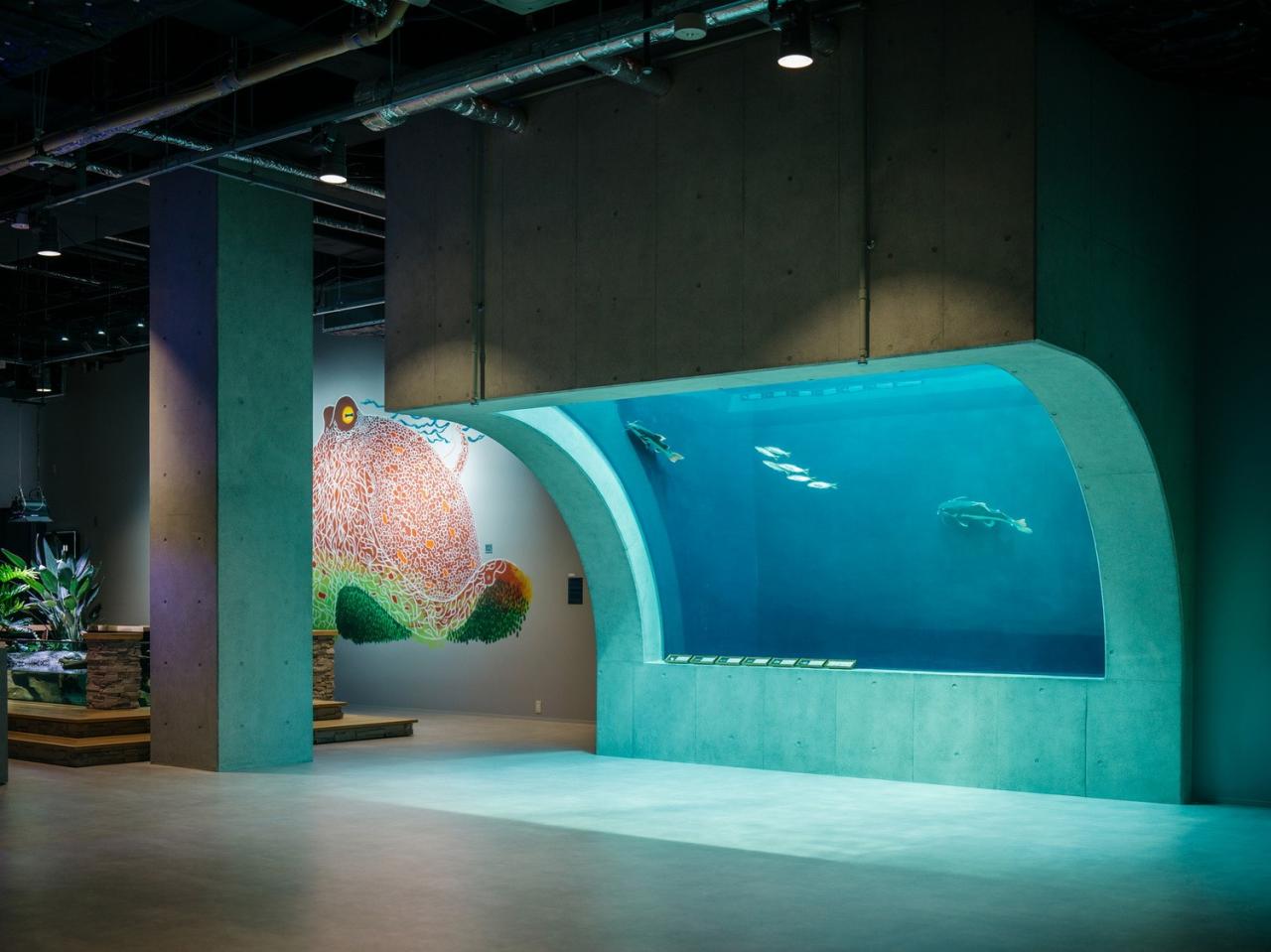 BIM建筑|神户港博物馆，海砂混凝土 / 大成建设