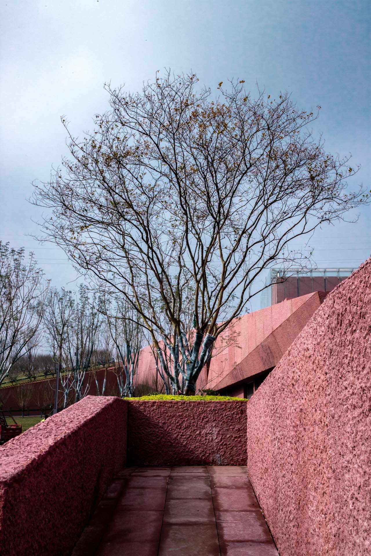 BIM建筑|江姐故里红色教育基地 / 四川省建筑设计研究院