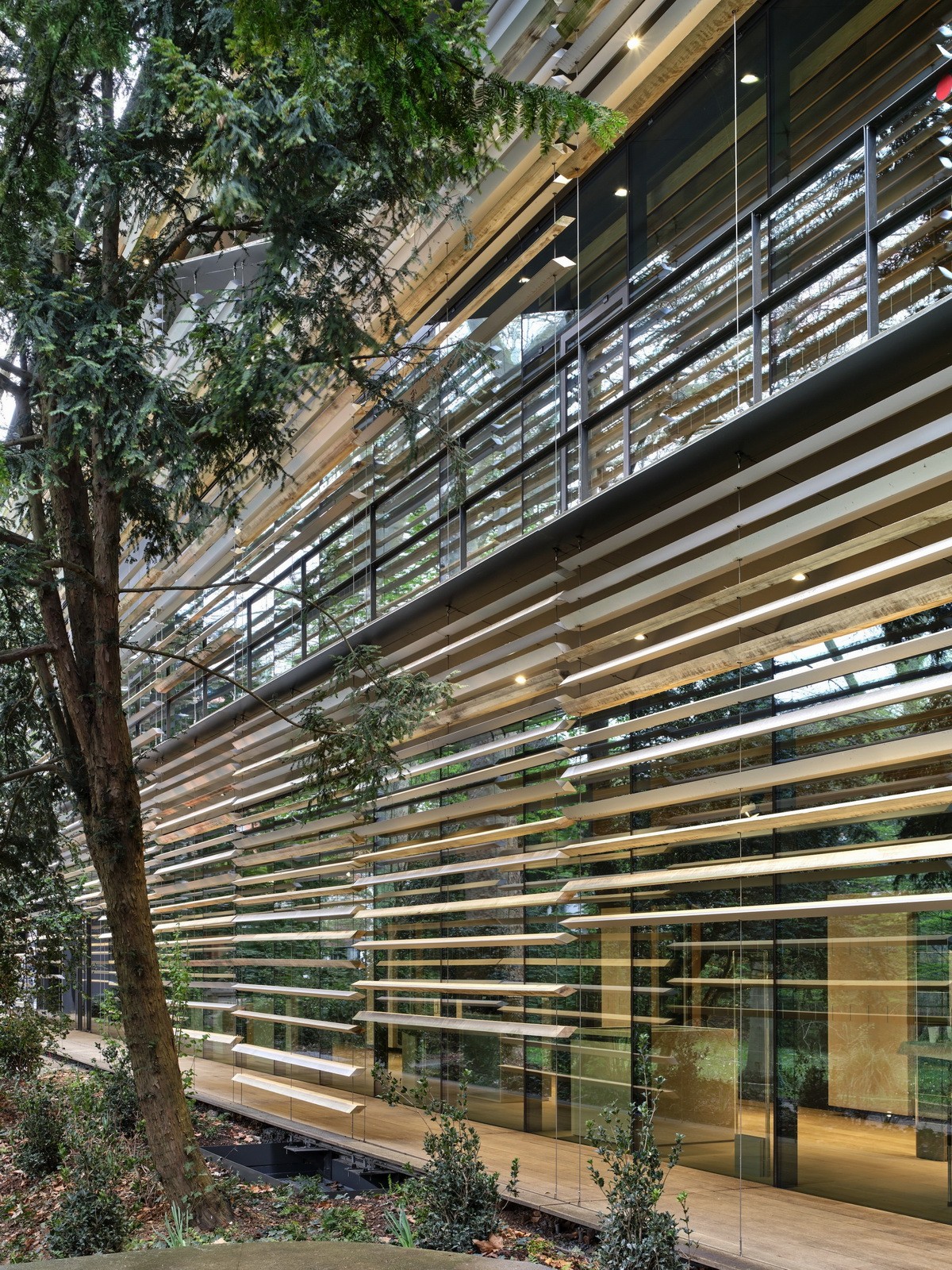 BIM建筑|阿尔伯特·卡恩博物馆 / 隈研吾建筑都市设计事务所