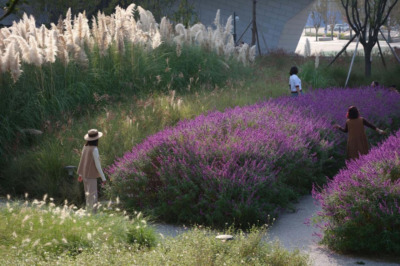 BIM建筑|成都自然博物馆 / Pelli Clarke & Partners + 中国建筑西南设计研究院