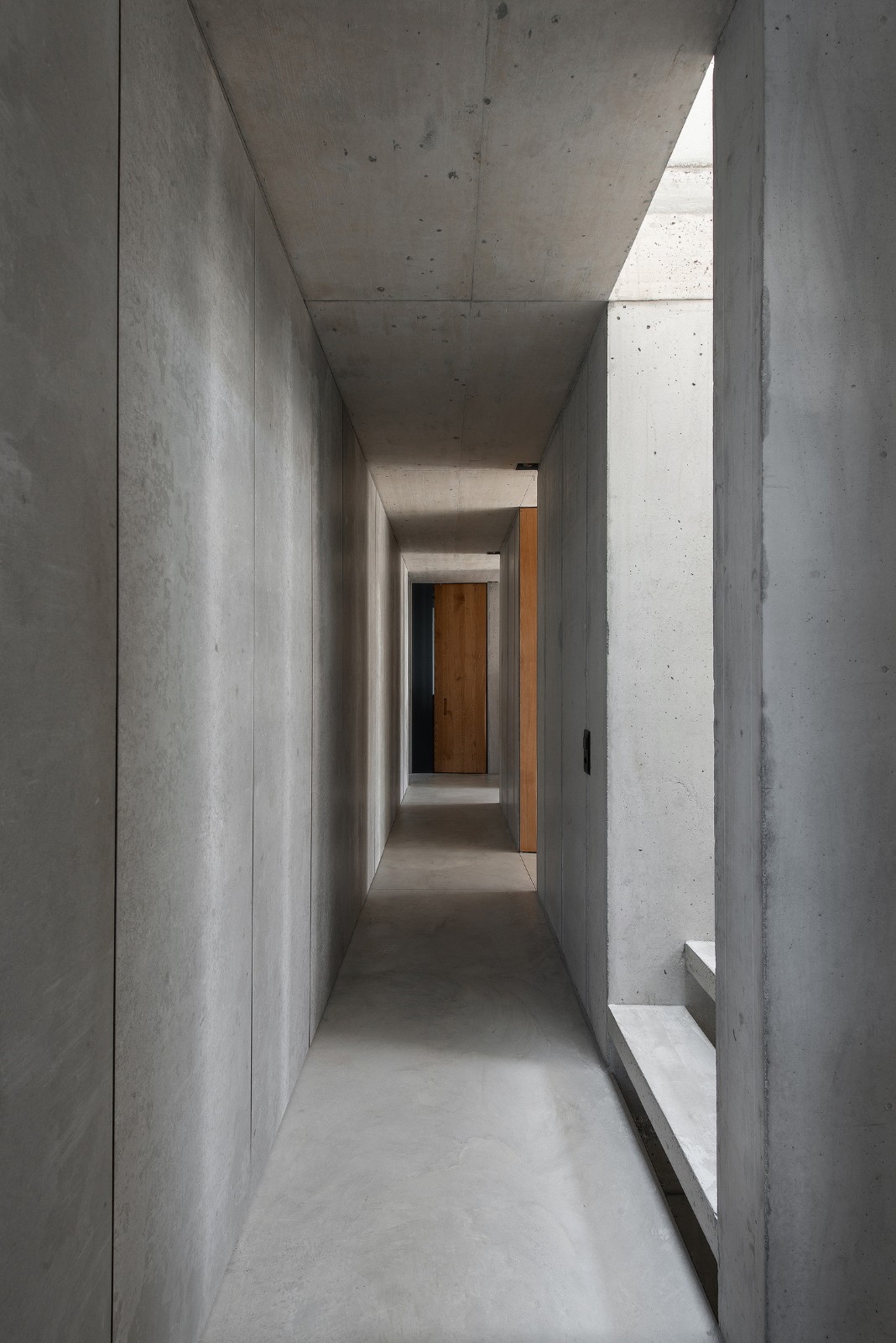 BIM建筑|San Nazzaro 住宅 / Wespi de Meuron Romeo architects