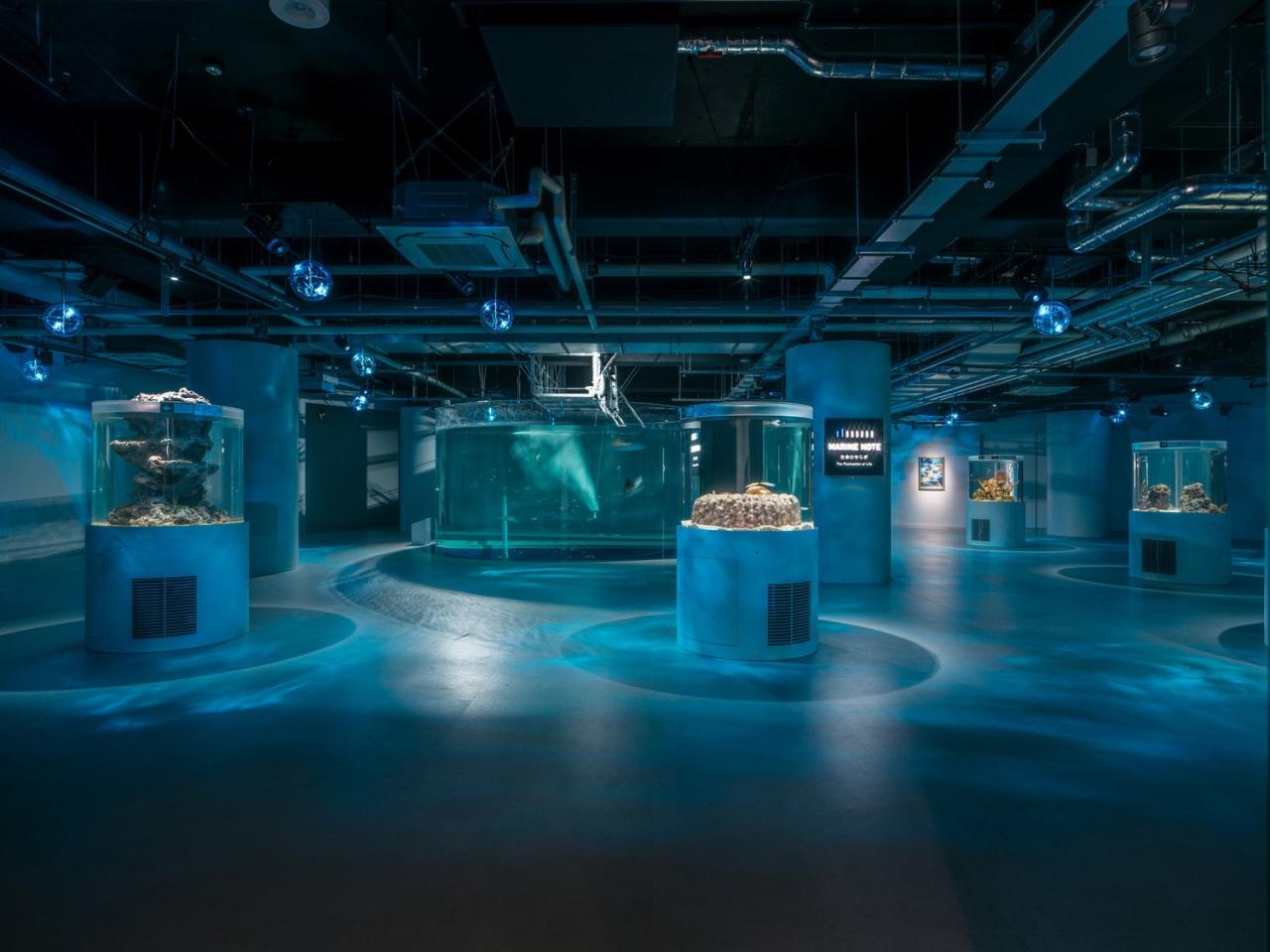 BIM建筑|神户港博物馆，海砂混凝土 / 大成建设