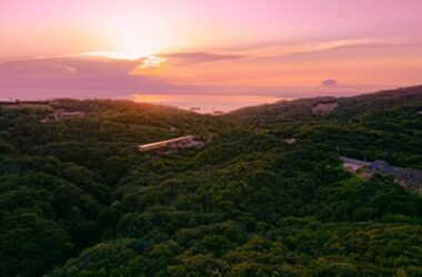 BIM建筑|坂茂在日本海岛设计木制冥想平台-BIM建筑网